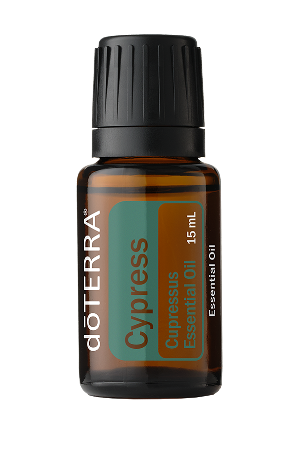 15ml-cypress-60206972-600x900-us